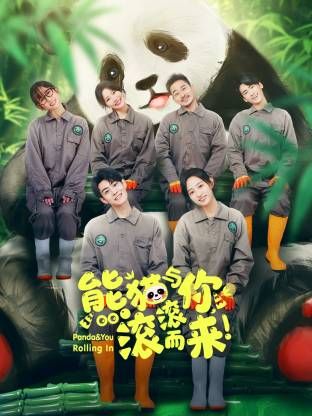 熊猫与你,滚滚而来!