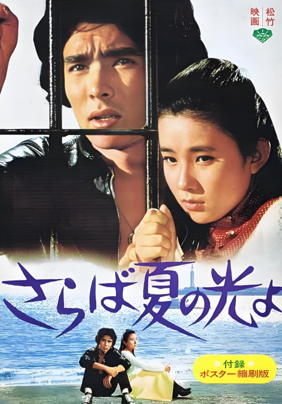 再见,夏日之光